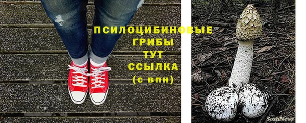 синтетический гашиш Карпинск