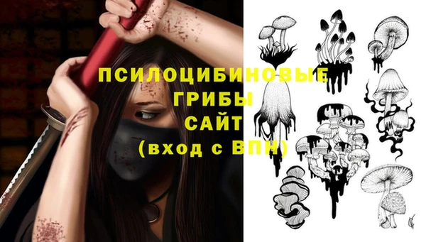 apvp Арсеньев