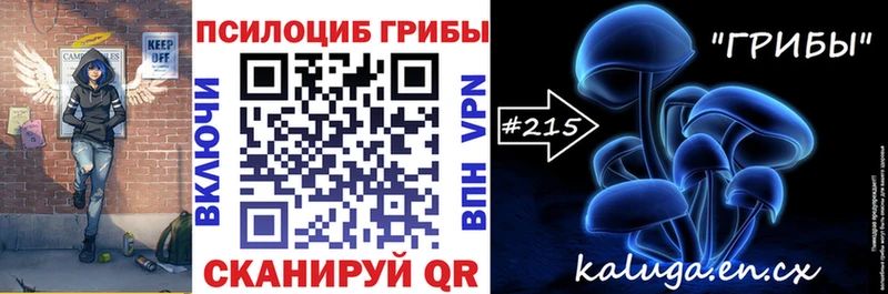 Галлюциногенные грибы Magic Shrooms  omg маркетплейс  Цивильск  купить закладку 